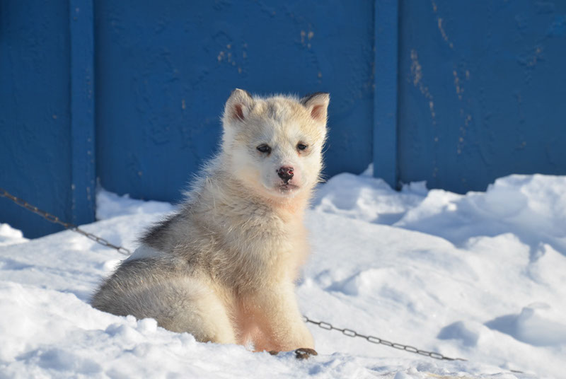 %_tempFileNameGRD_1281%