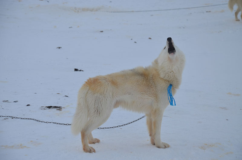 %_tempFileNameGRD_2630%