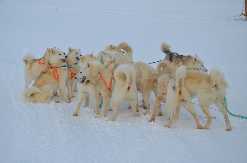 %_tempFileNameGRD_2720%