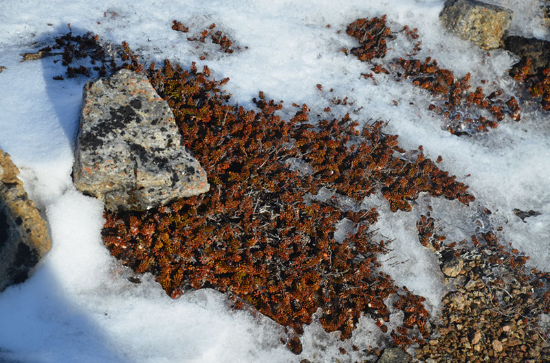 %_tempFileNameGRD_3105%