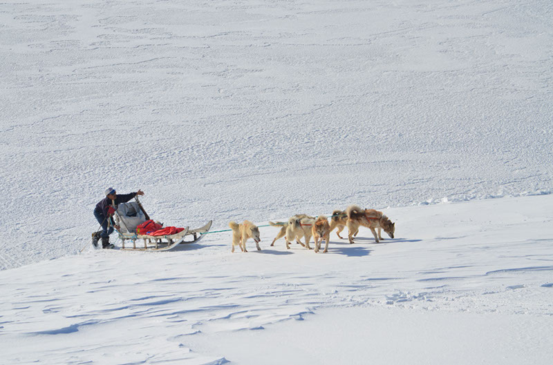 %_tempFileNameGRD_3128%