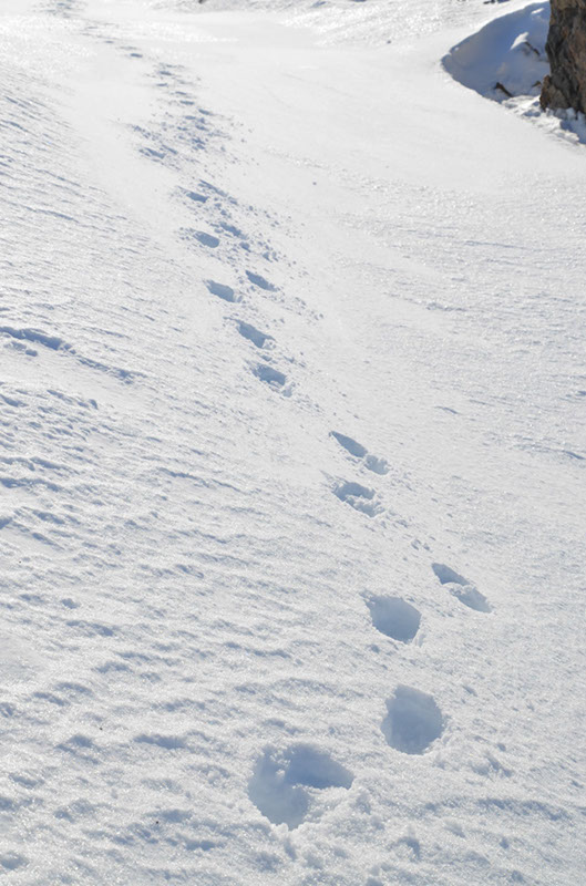 %_tempFileNameGRD_3212%