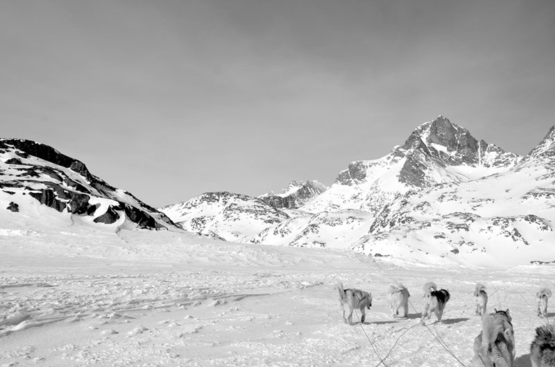 %_tempFileNameGRD_3243%