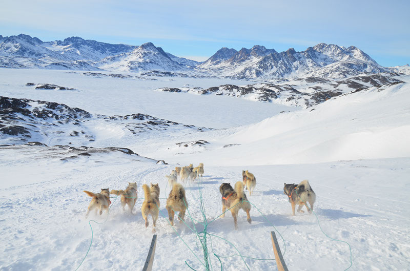 %_tempFileNameGRD_3315%