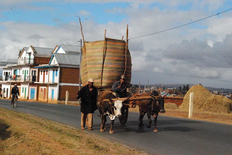 %_tempFileNameMadagaskar_006%