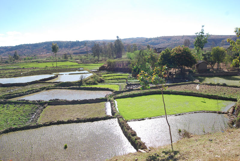 %_tempFileNameMadagaskar_025%