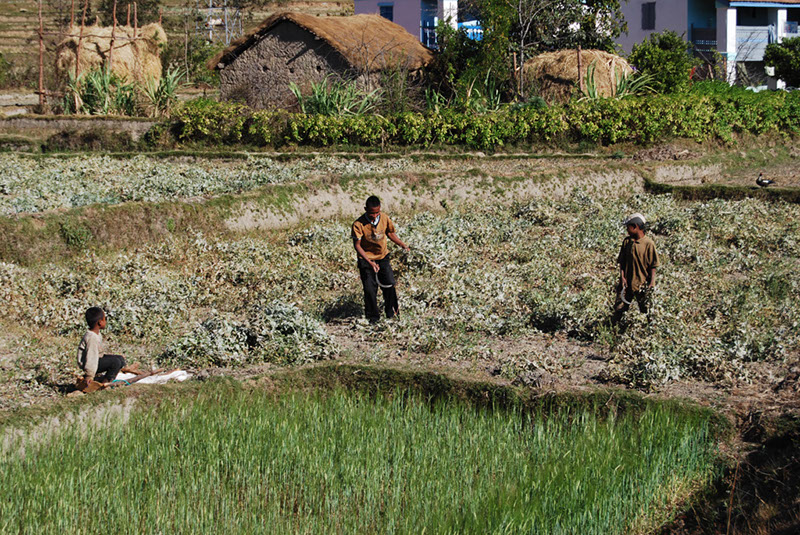 %_tempFileNameMadagaskar_029%