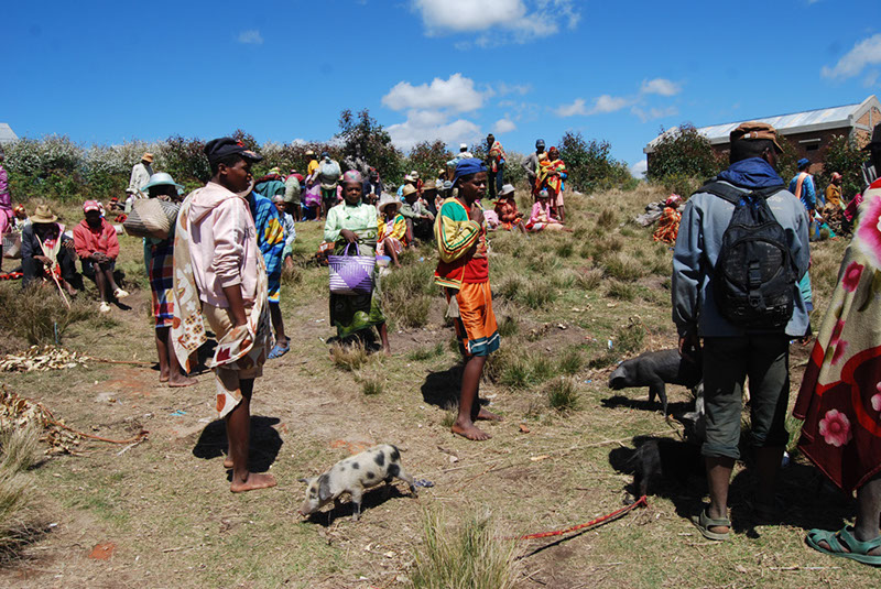 %_tempFileNameMadagaskar_037%