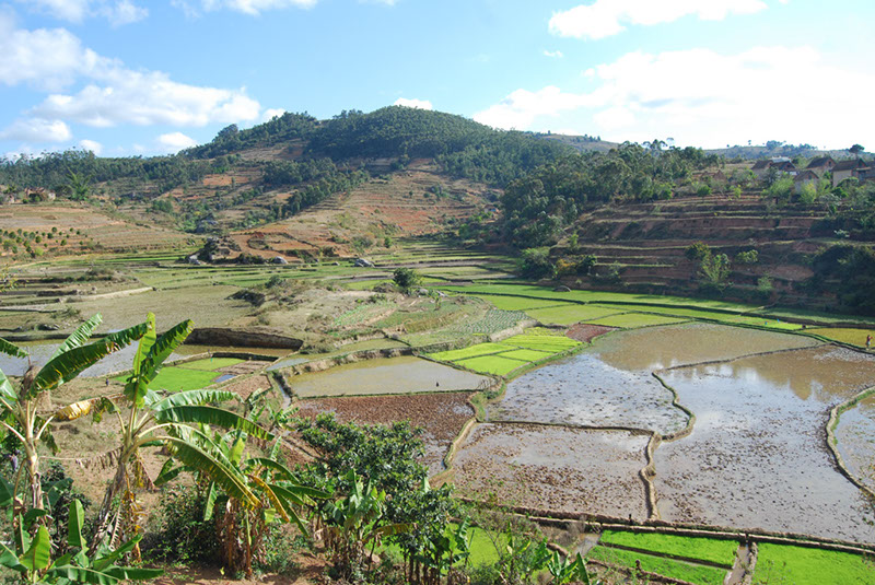 %_tempFileNameMadagaskar_068%