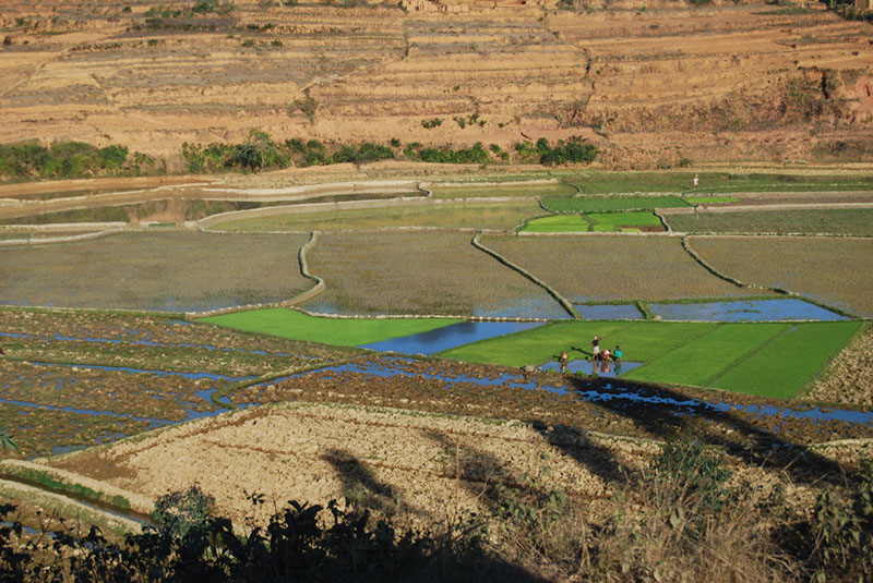 %_tempFileNameMadagaskar_078%