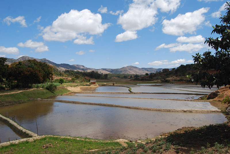 %_tempFileNameMadagaskar_101%