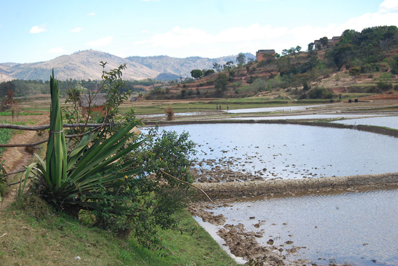 %_tempFileNameMadagaskar_102%