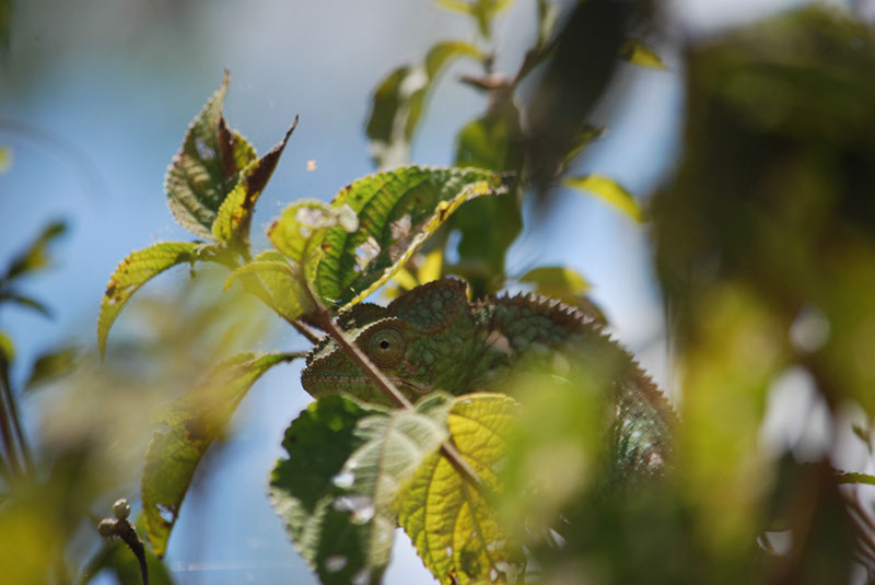 %_tempFileNameMadagaskar_105%