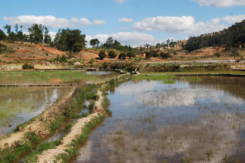 %_tempFileNameMadagaskar_124%