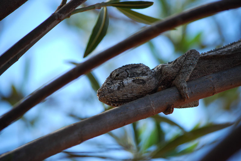 %_tempFileNameMadagaskar_130%