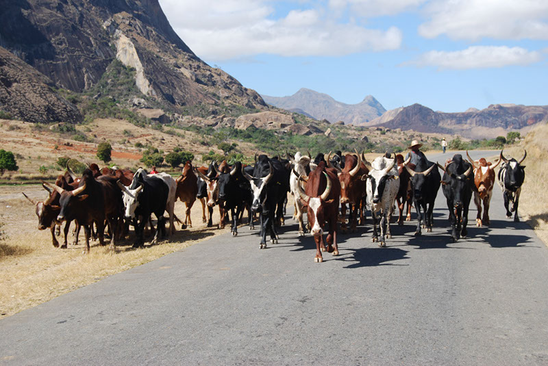 %_tempFileNameMadagaskar_135%