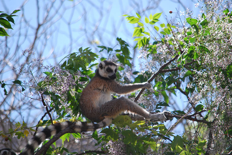 %_tempFileNameMadagaskar_140%