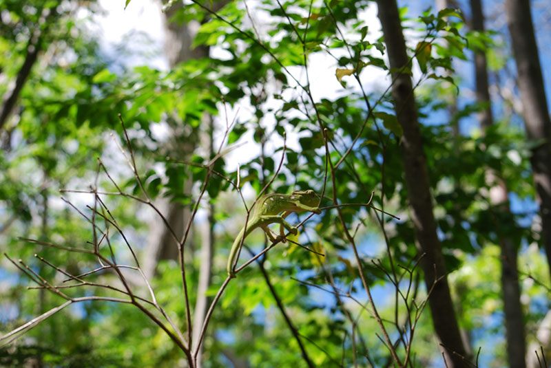 %_tempFileNameMadagaskar_145%