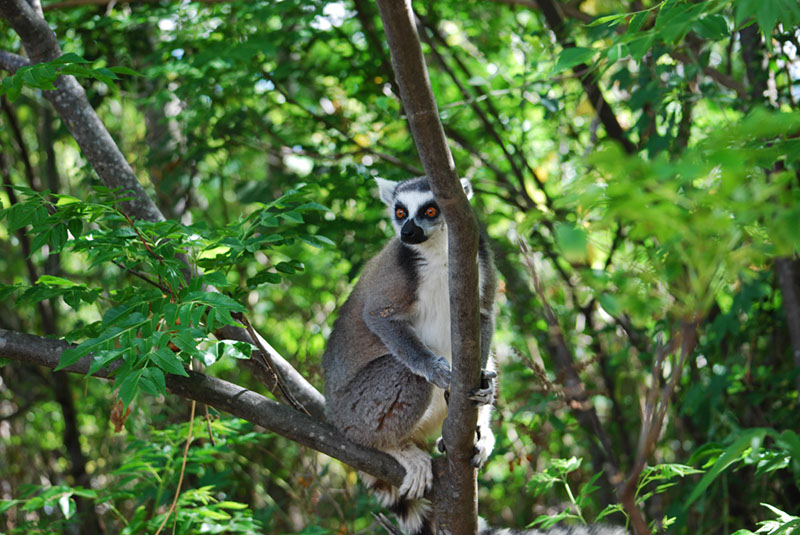 %_tempFileNameMadagaskar_146%