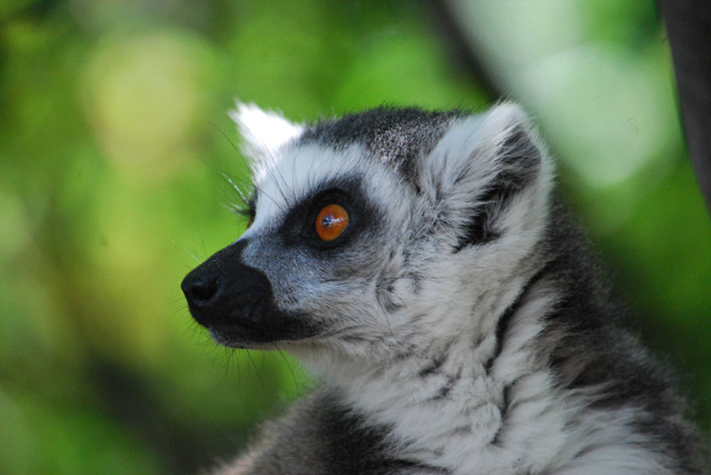 %_tempFileNameMadagaskar_147%