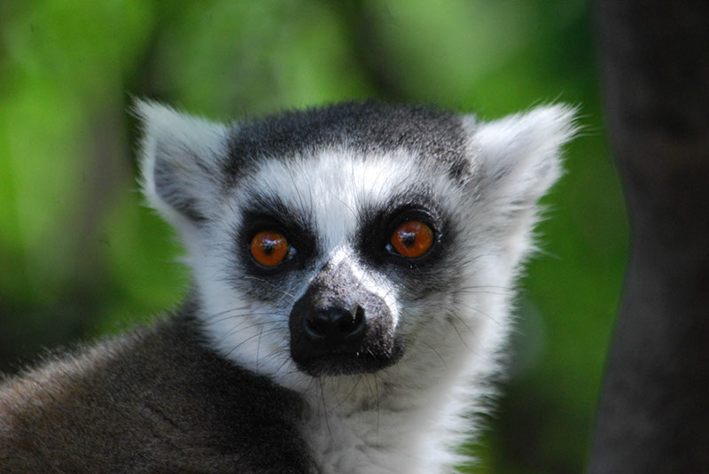 %_tempFileNameMadagaskar_148%