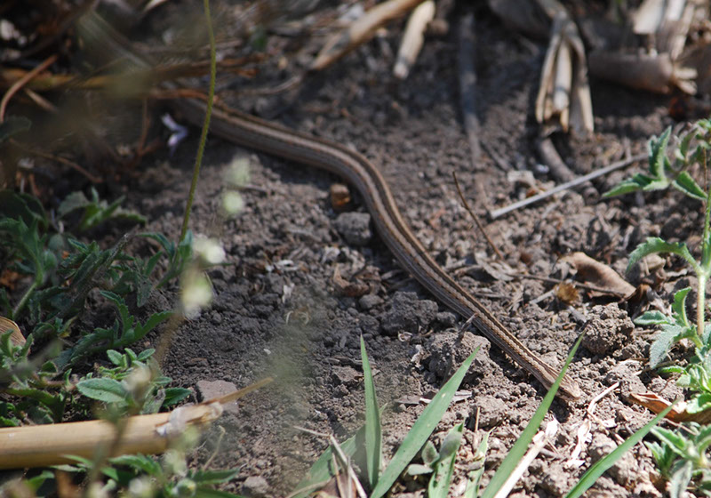%_tempFileNameMadagaskar_150%