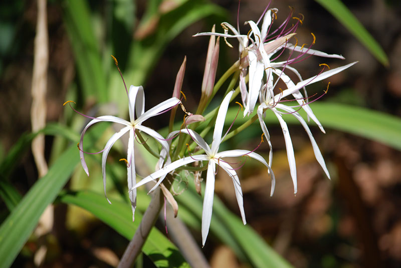 %_tempFileNameMadagaskar_151%