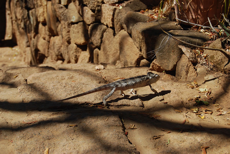 %_tempFileNameMadagaskar_158%