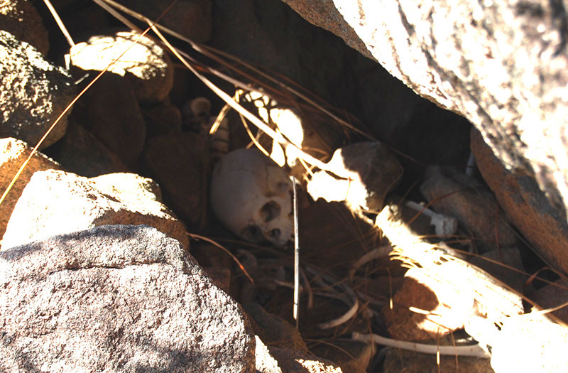 %_tempFileNameMadagaskar_165%