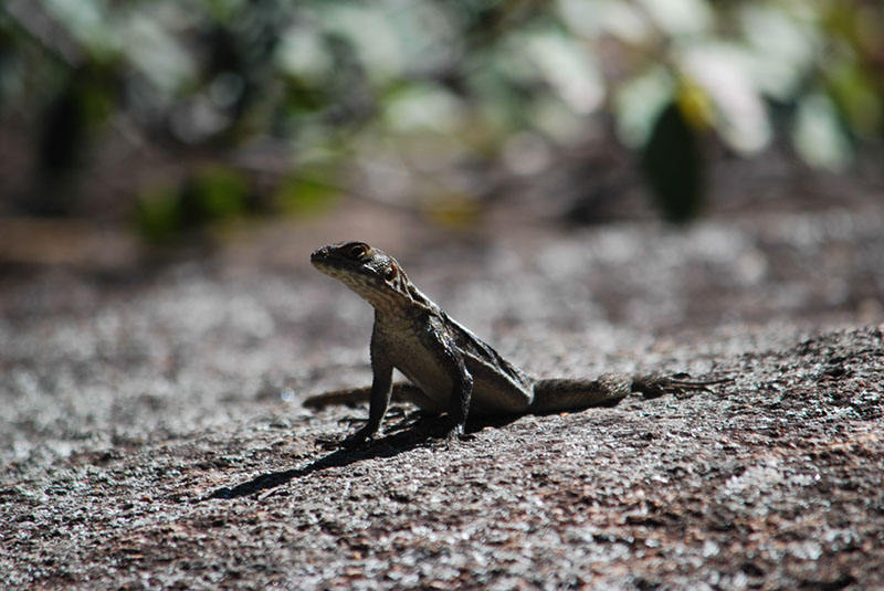 %_tempFileNameMadagaskar_166%