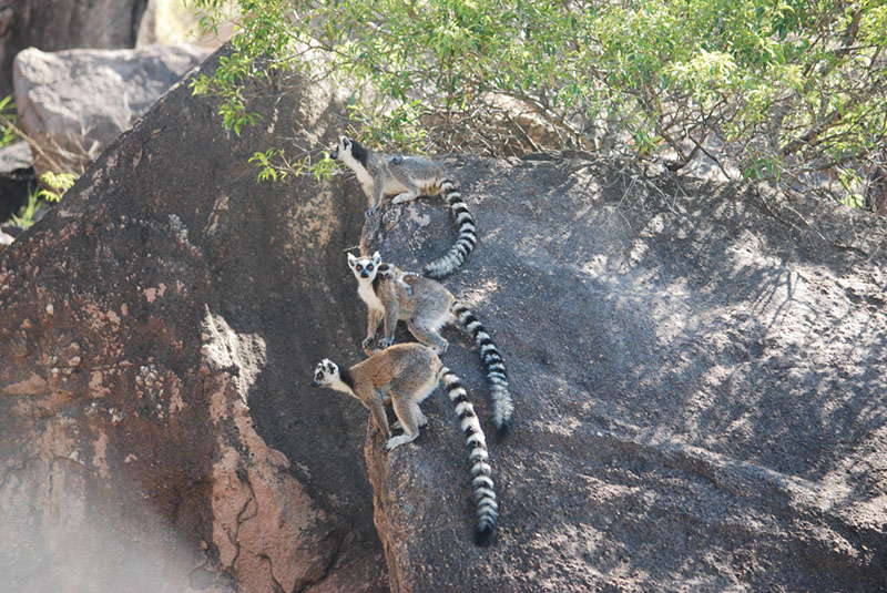%_tempFileNameMadagaskar_171%