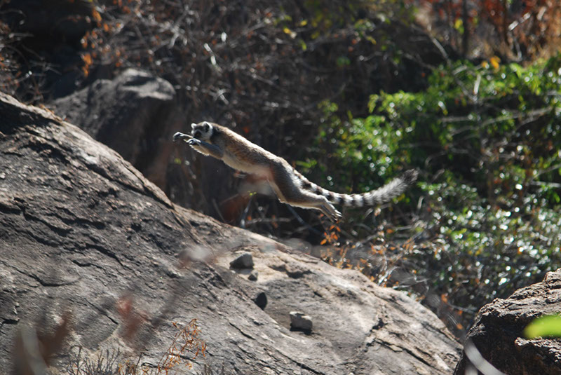 %_tempFileNameMadagaskar_172%