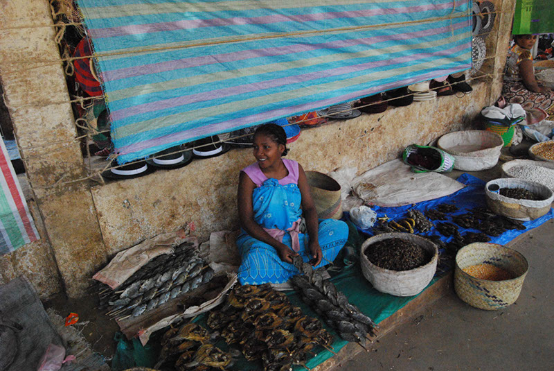 %_tempFileNameMadagaskar_180%