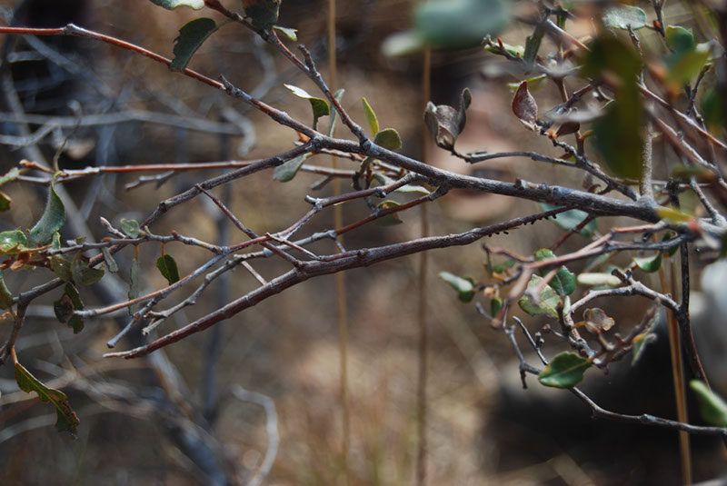 %_tempFileNameMadagaskar_188%