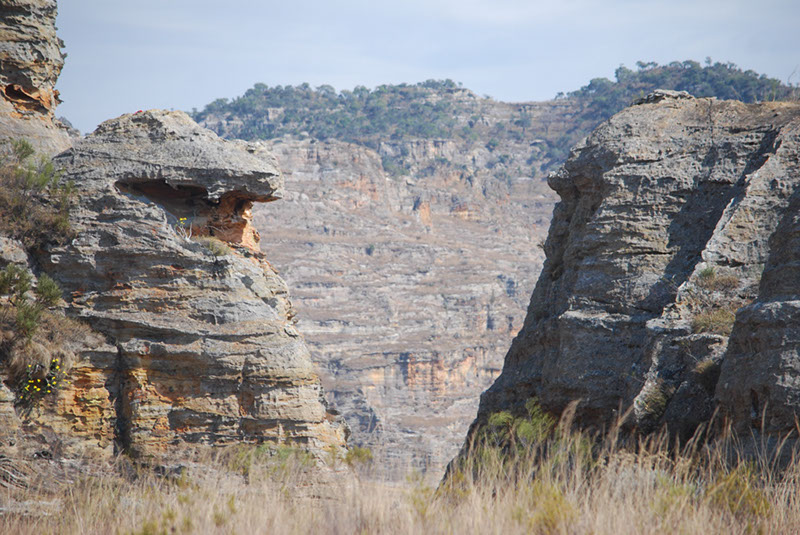 %_tempFileNameMadagaskar_190%