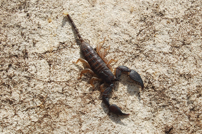 %_tempFileNameMadagaskar_201%