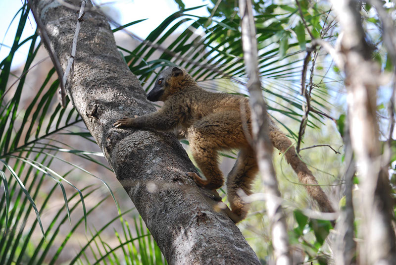 %_tempFileNameMadagaskar_208%