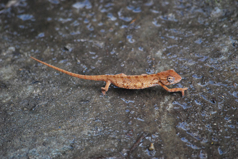 %_tempFileNameMadagaskar_211%