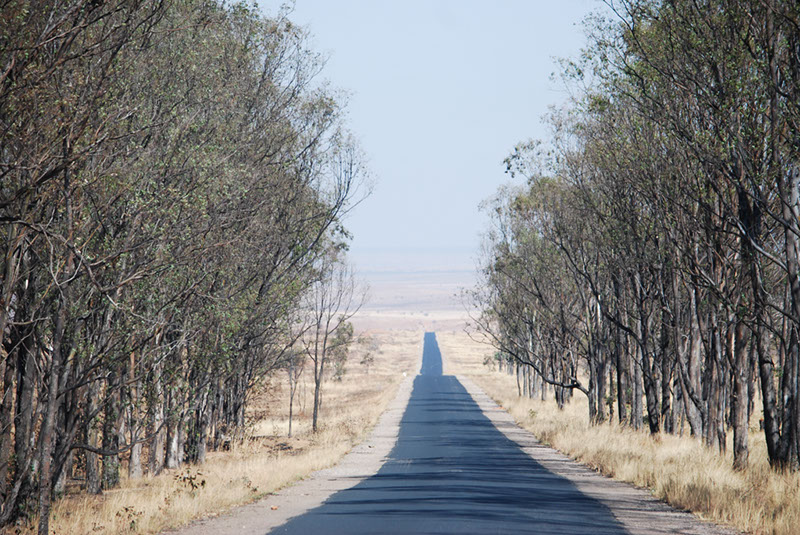 %_tempFileNameMadagaskar_225%