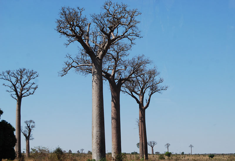 %_tempFileNameMadagaskar_228%