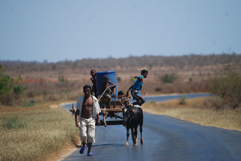 %_tempFileNameMadagaskar_239%