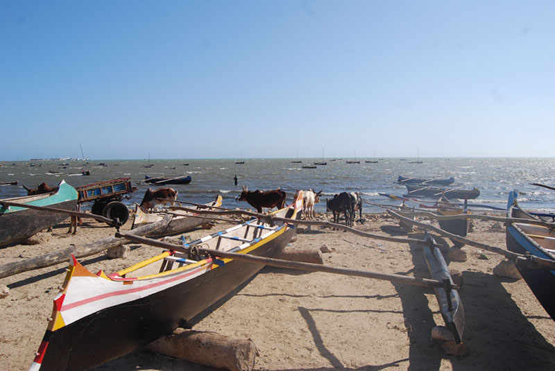 %_tempFileNameMadagaskar_241%