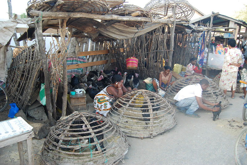 %_tempFileNameMadagaskar_245%