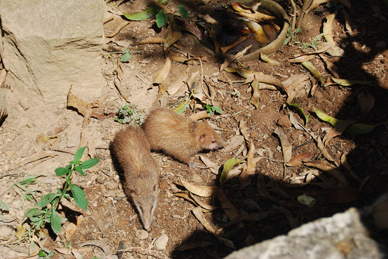 %_tempFileNameMadagaskar_268%