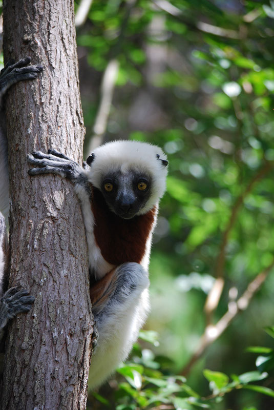 %_tempFileNameMadagaskar_269%