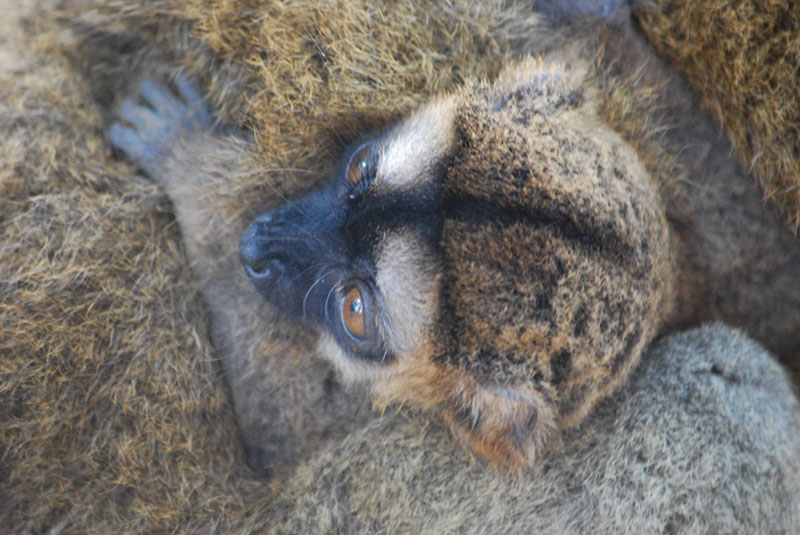 %_tempFileNameMadagaskar_271%