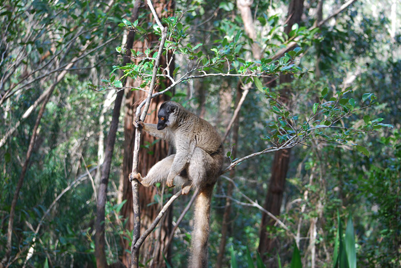 %_tempFileNameMadagaskar_273%