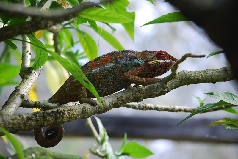 %_tempFileNameMadagaskar_276%