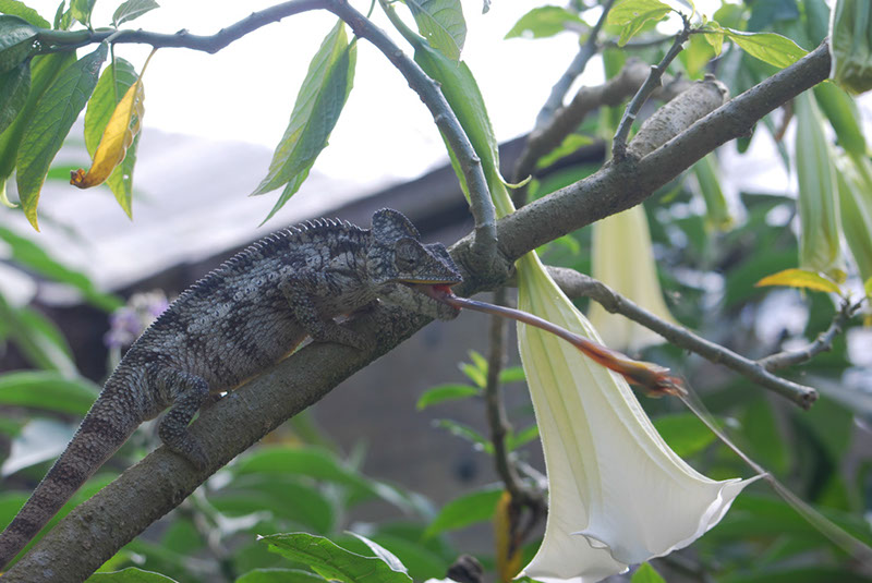 %_tempFileNameMadagaskar_277%