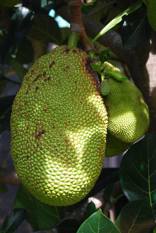 %_tempFileNameMadagaskar_279%